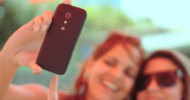 Maryland Is 2026’s 5th Best State for Women – WalletHub Study women: Image by Luis Wilker WilkerNet from Pixabay