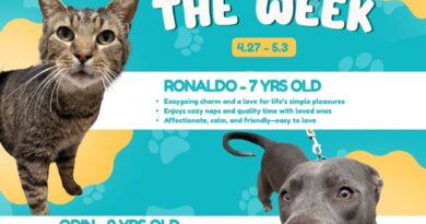 Baltimore Humane Society- Pets of the Week: Odin & Ronaldo