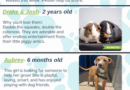 Baltimore Humane Society-Pets of the week
