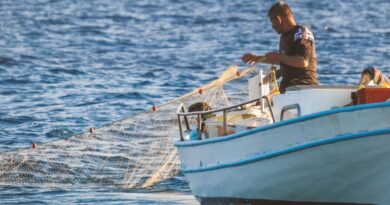 fisherman, Apostle Peter : Image by Dimitris Vetsikas from Pixabay