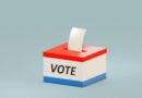 Primary elections, the end of centrist candidates?; Hope for reversing the trend per Sun columnist Bobby Zirkin