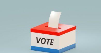 Primary elections, the end of centrist candidates?; Hope for reversing the trend per Sun columnist Bobby Zirkin