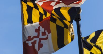 Maryland,Image by Bruce Emmerling from Pixabay Maryland flag: