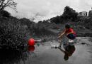 Brownfields, contaminated land: Image by Elis Antonio Rios from Pixabay