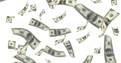 money, reparations, cash: Image by Patrick Pascal Schauß from Pixabay