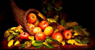 The Fruits of Saving Faith saving faith, fruit, cornucopia, fruits of the Spirit: Image by nafeti_art from Pixabay