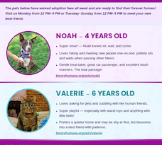 Baltimore Humane Society-Pets of the week: Meet Valerie & Noah! Baltimore Humane Society-Pets of the week: Meet Valerie & Noah!