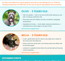 Baltimore Humane Society-Pets of the week