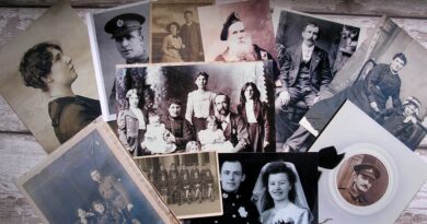 Family tree: Image by Scottish Guy from Pixabay