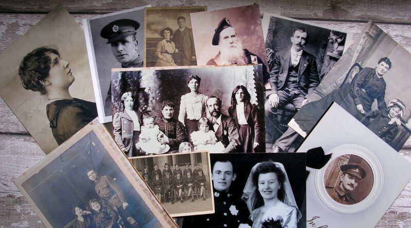 Family tree: Image by Scottish Guy from Pixabay
