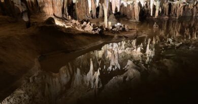 Fall delights: Fun outdoor adventures in Virginia and great food in Maryland