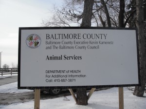 Baltimore County Animal Shelter is being sued on charges of animal abuse.