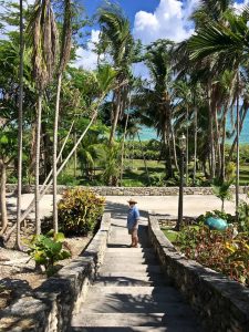 Orange Hill Beach, Nassau, Bahmas: "One of my great joys in life is watching Patrick’s reaction once we reach our destination." (Davida G. Breier)