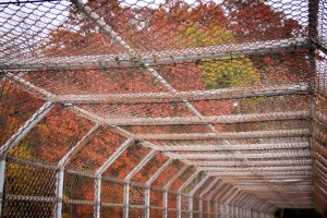 The existing pedestrian bridge, which overlooks MD Route 29, is enclosed in fencing and dimly lit at night (Brianna Olinger)