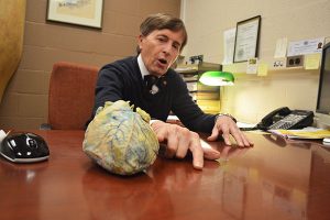 tate Anatomy Board Director Ronn Wade explains what hypertension looks like on one of three silicon-laced hearts he keeps in his office at the University of Maryland School of Medicine, April 5, 2016. Capital News Service Photo by Leo Traub