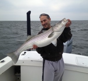 Chef Carlo Vignotto proudly hoists a huge "rockfish". (courtesy)