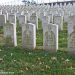 Confederate and Union graves in the “Old Field” of Cypress Hills National Cemetery, Brooklyn, New York. (Kevin C. Fitzpatrick)