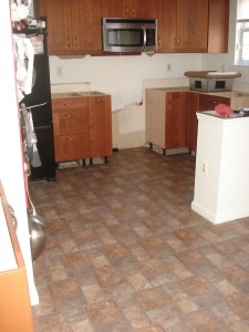 Taken over the weekend. We have cabinets down, but waiting (somewhat impatiently) for the counter. Can't wait to cook again!