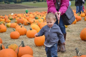 Ethan picks out a pumpkin. He lost his brother , Bryan- a soulmate.