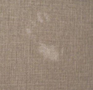 Lord Baltimore Hotel ghost investivation yielded this photograph of a child's hand print. (Anthony C. Hayes)