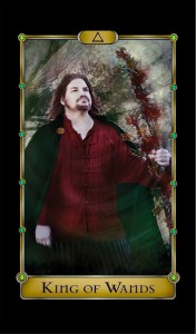 Actor Gavin Heck appears as the King of Wands.