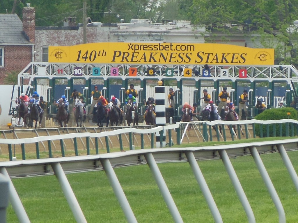 Preakness Day ~ The tenth race at Pimlico. (Anthony C. Hayes)
