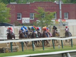 Horses sprinting in the sixth running of the Chick Lang Stakes. (Anthony C. Hayes)(Anthony C. Hayes)