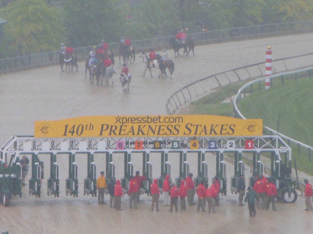 Horses wait in the rain while track personnel set up the starting gate. (Anthony C. Hayes)
