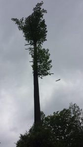 A cylinder-shaped UFO seen streaking across the sky by a Post-Examiner reader named Alexis.