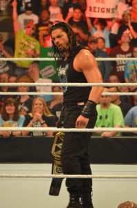 WWE Champion Roman Reigns. (Anthony C. Hayes)